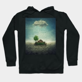 the oasis farm Hoodie